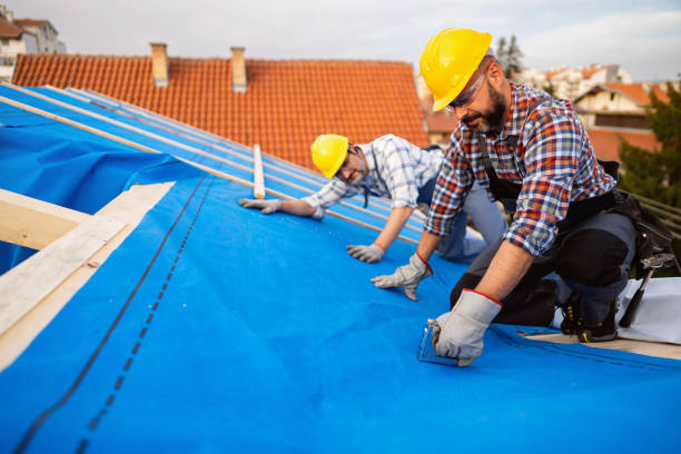 Best Storm Damage Roof Repair  in Columbia, KY