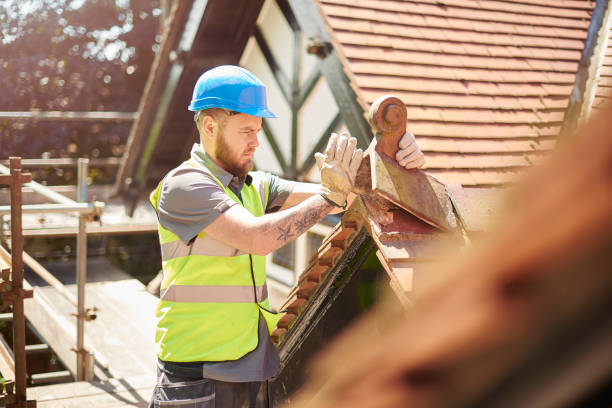 Roof Gutter Cleaning in Columbia, KY